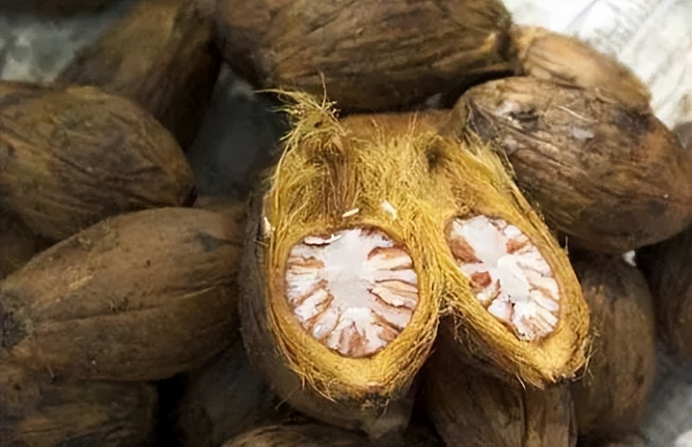 槟榔是不是一级致癌物质,槟榔国家公认一级致癌物