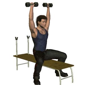 瘦子增重怎么练背部,瘦子增重增肌训练教程哑铃