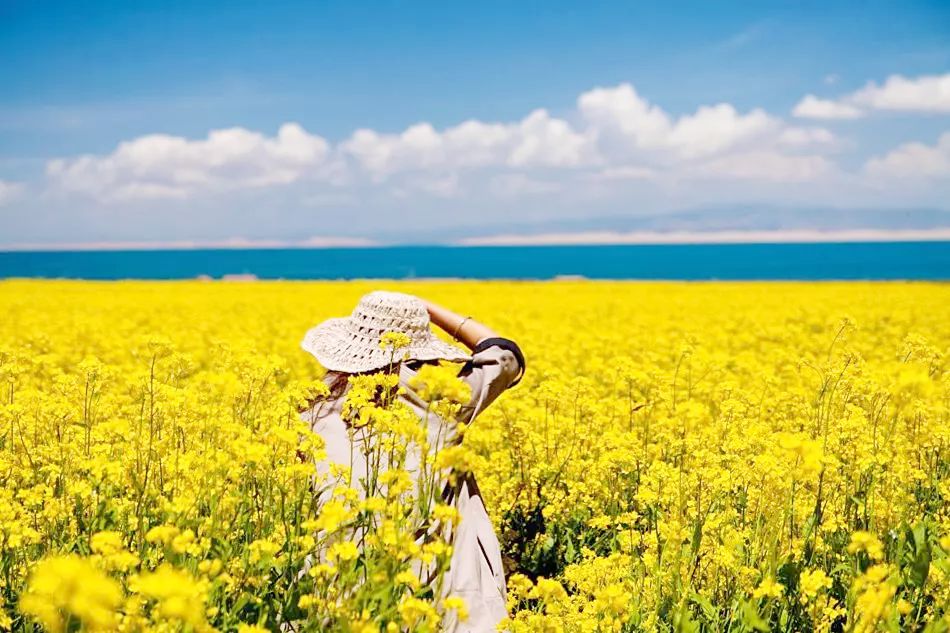 大西北经典环线游,大西北丝绸之路环线图