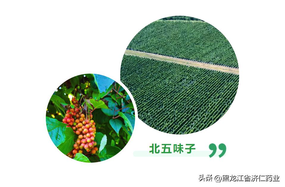 2022·圣大·五味·中医药文化健康之旅