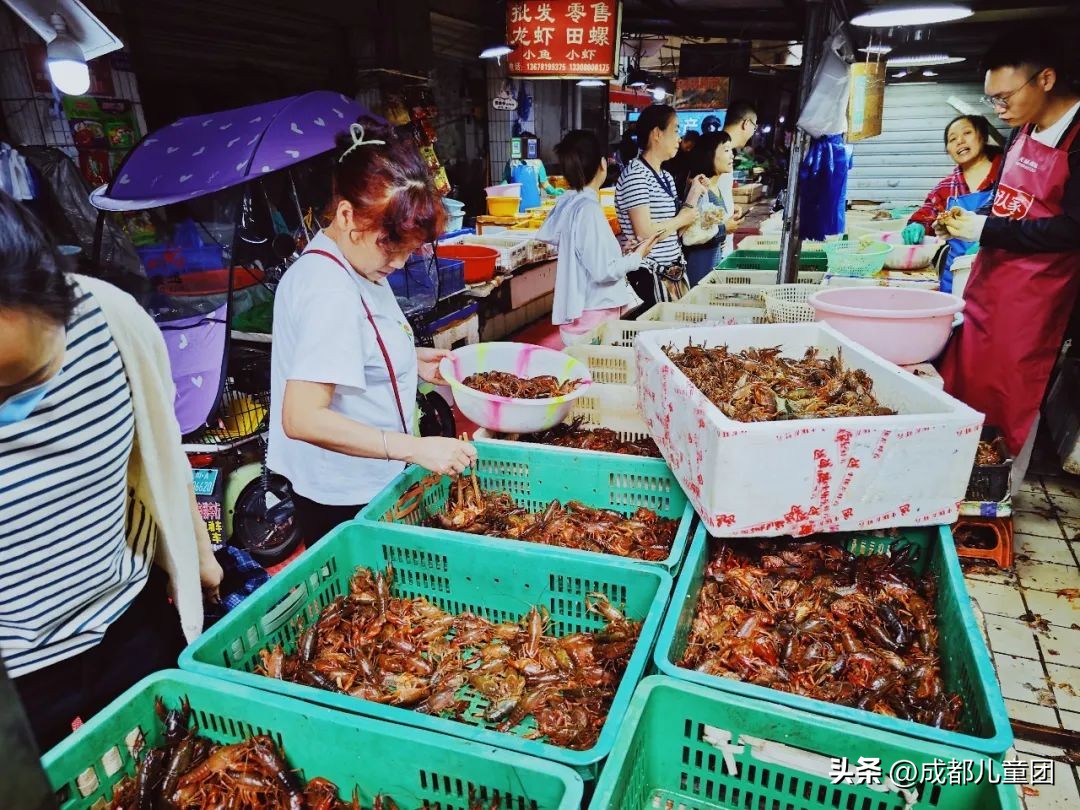 成都最值得逛的菜市场,成都必去的菜市场