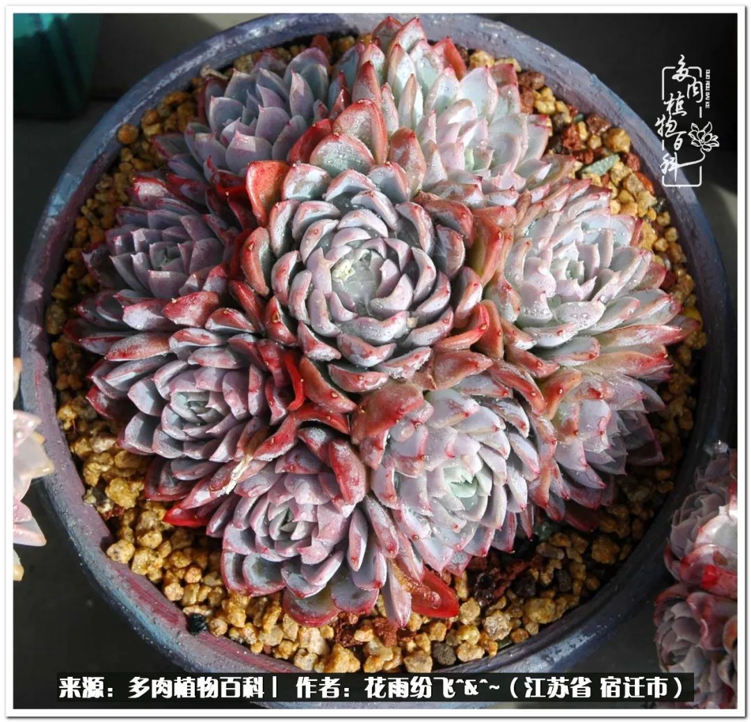 快乐的童年时光视频,回味快乐的童年美好的时光