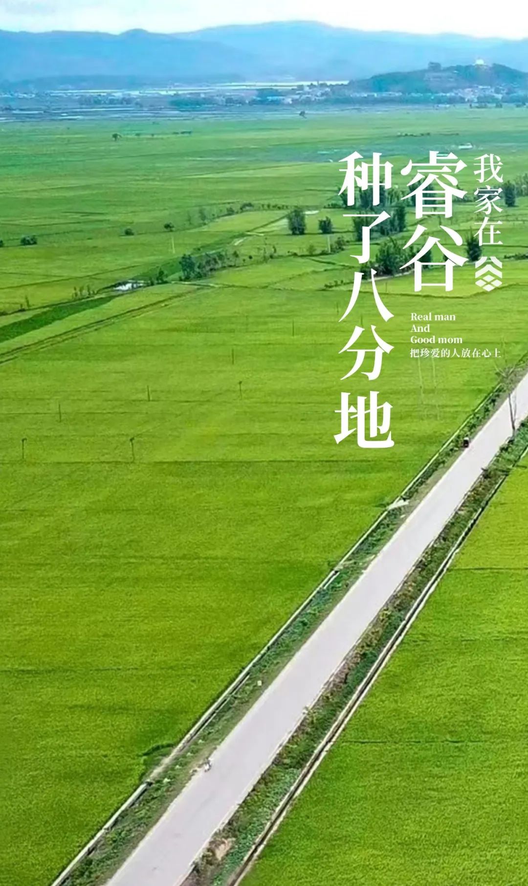 大道恒美×睿谷生态：大品牌战略，赋新生活方式营销