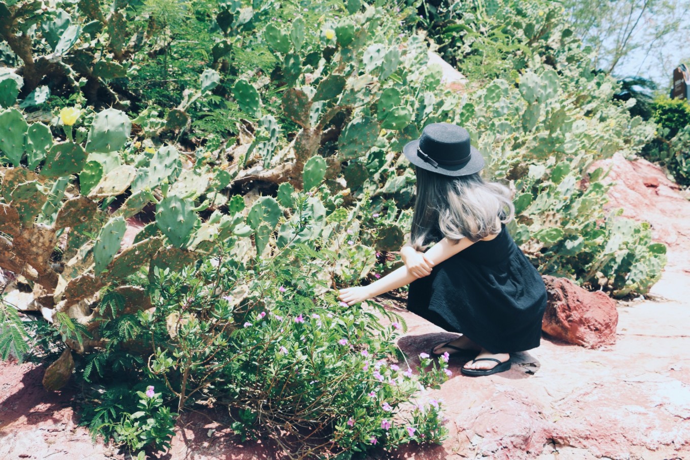北海涠洲岛旅游最全攻略,广西北海涠洲岛绝美照片