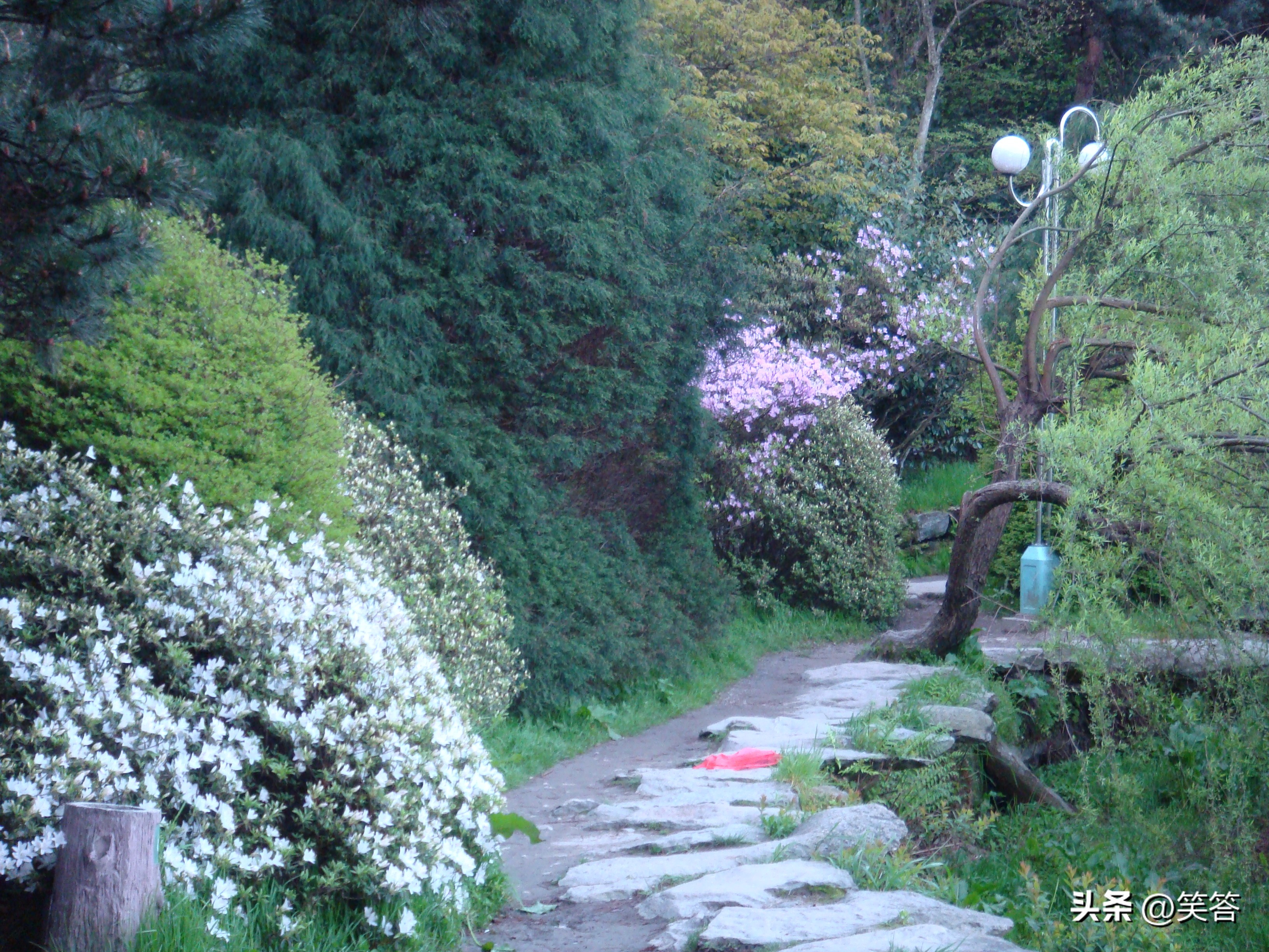 庐山为什么被称为人文圣山,庐山有多少人文圣山