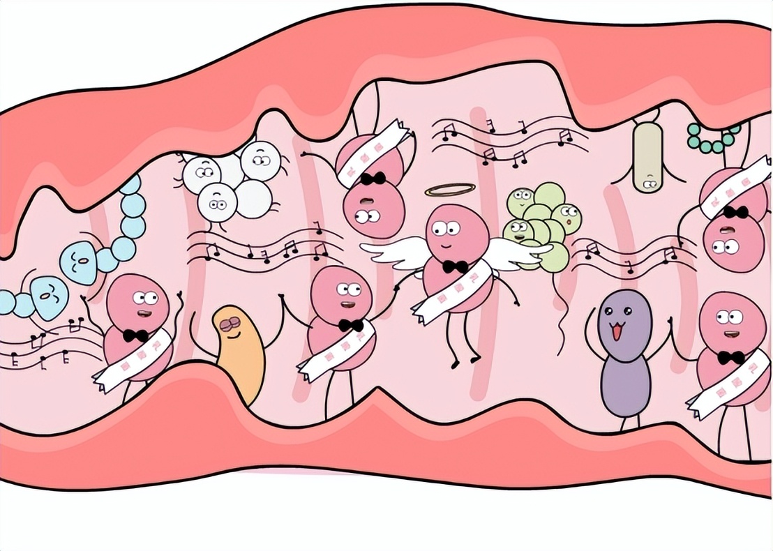 雌激素有助抵御尿路感染吗,雌激素导致的尿路感染