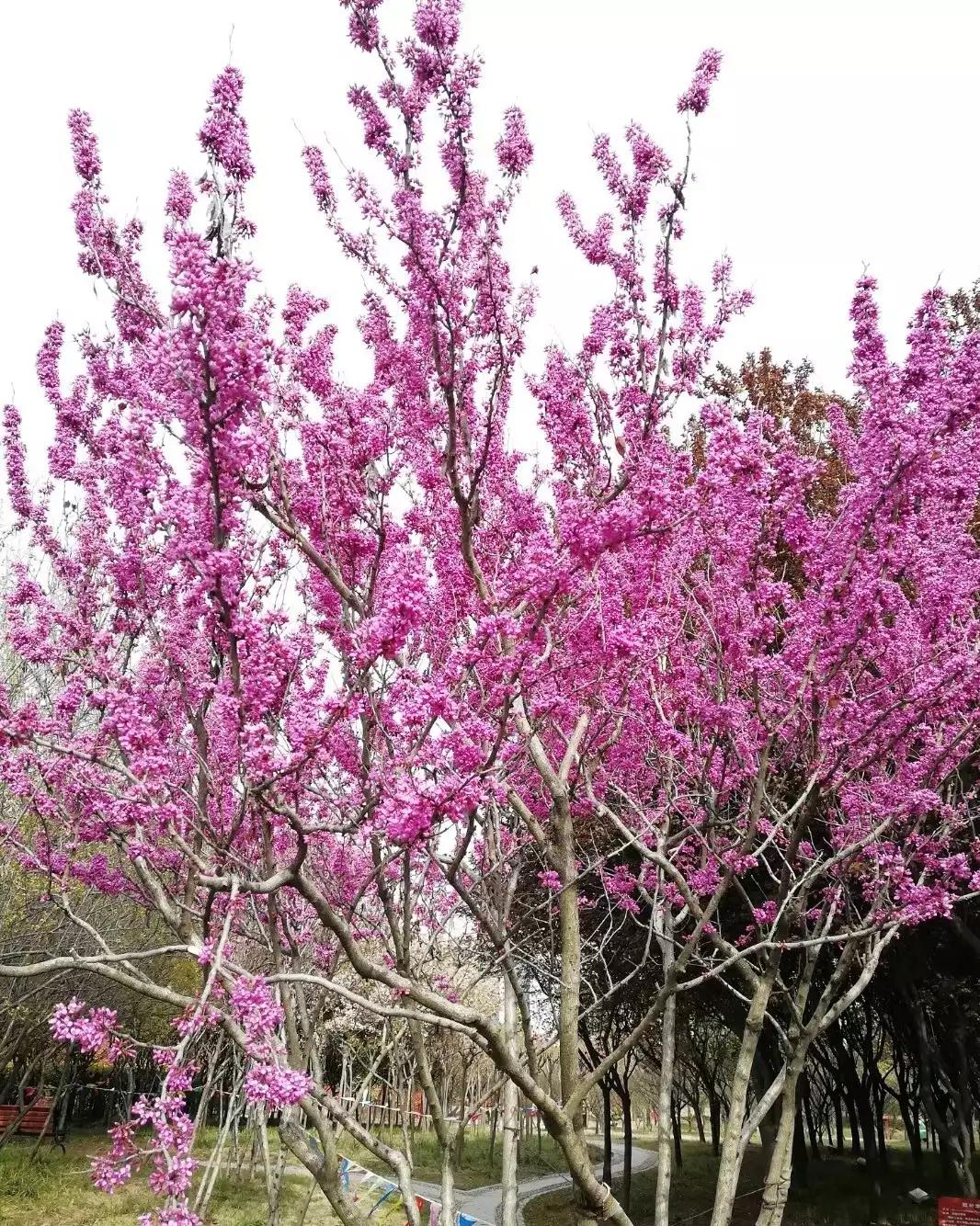 简单易记成语接龙大全完整版,成语接龙大全为孩子收藏