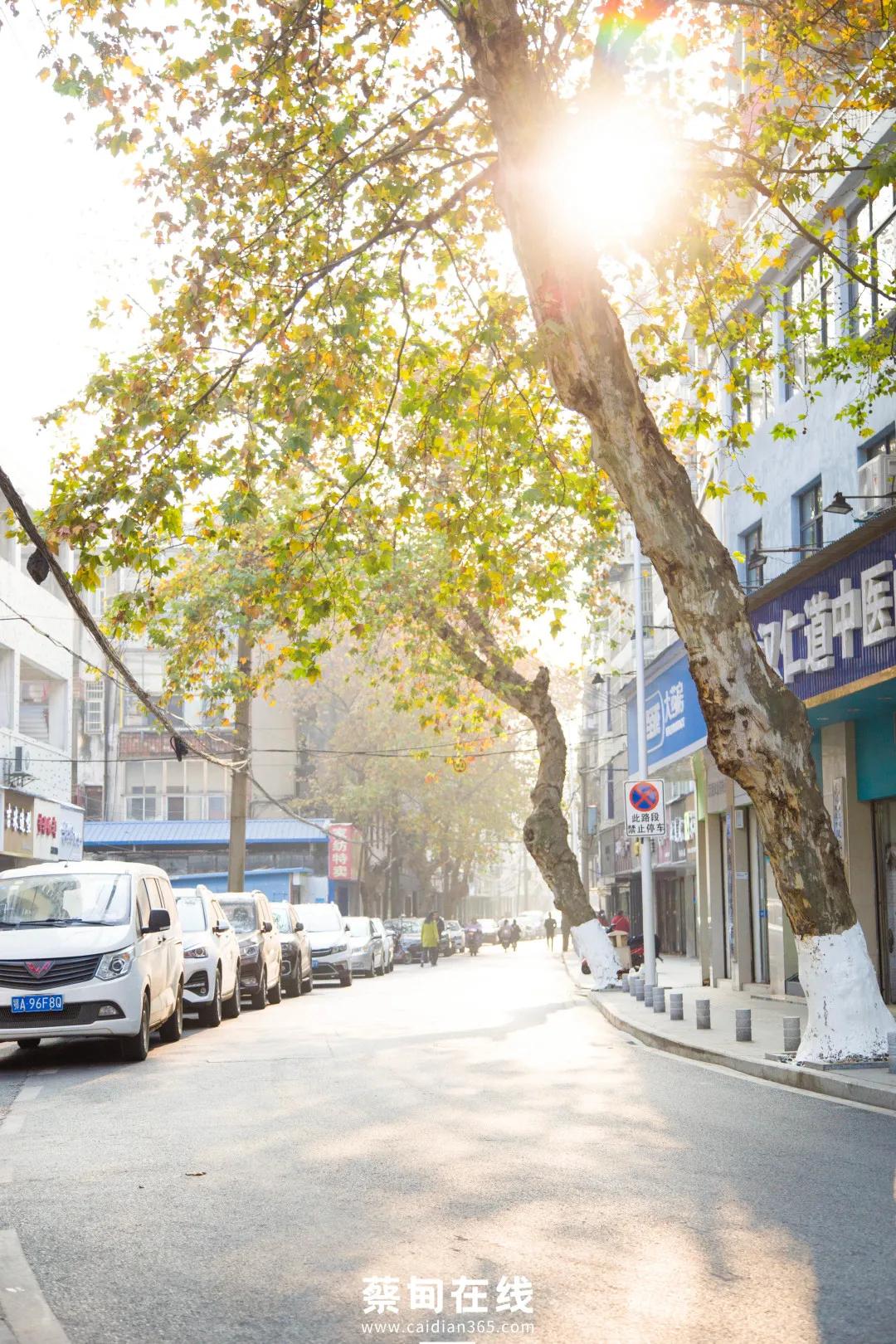 武汉气温回升,武汉气温回暖最新消息