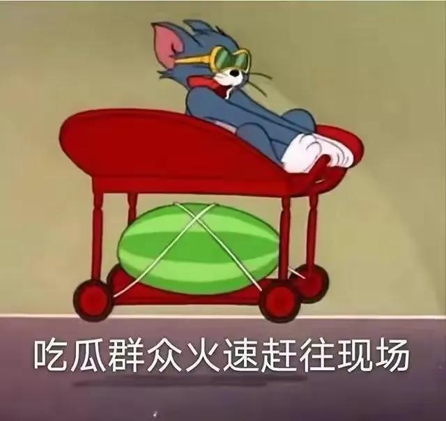 吃瓜群众表情包组成教程,一只安静的吃瓜群众表情包