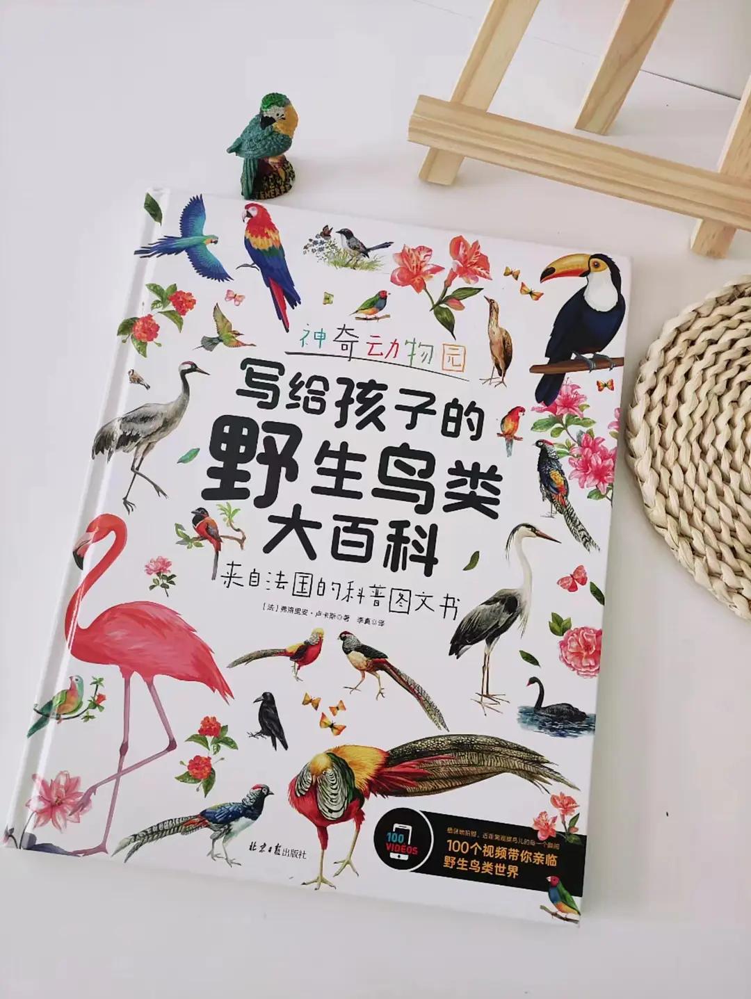 真真被这本书的鸟儿治愈了！