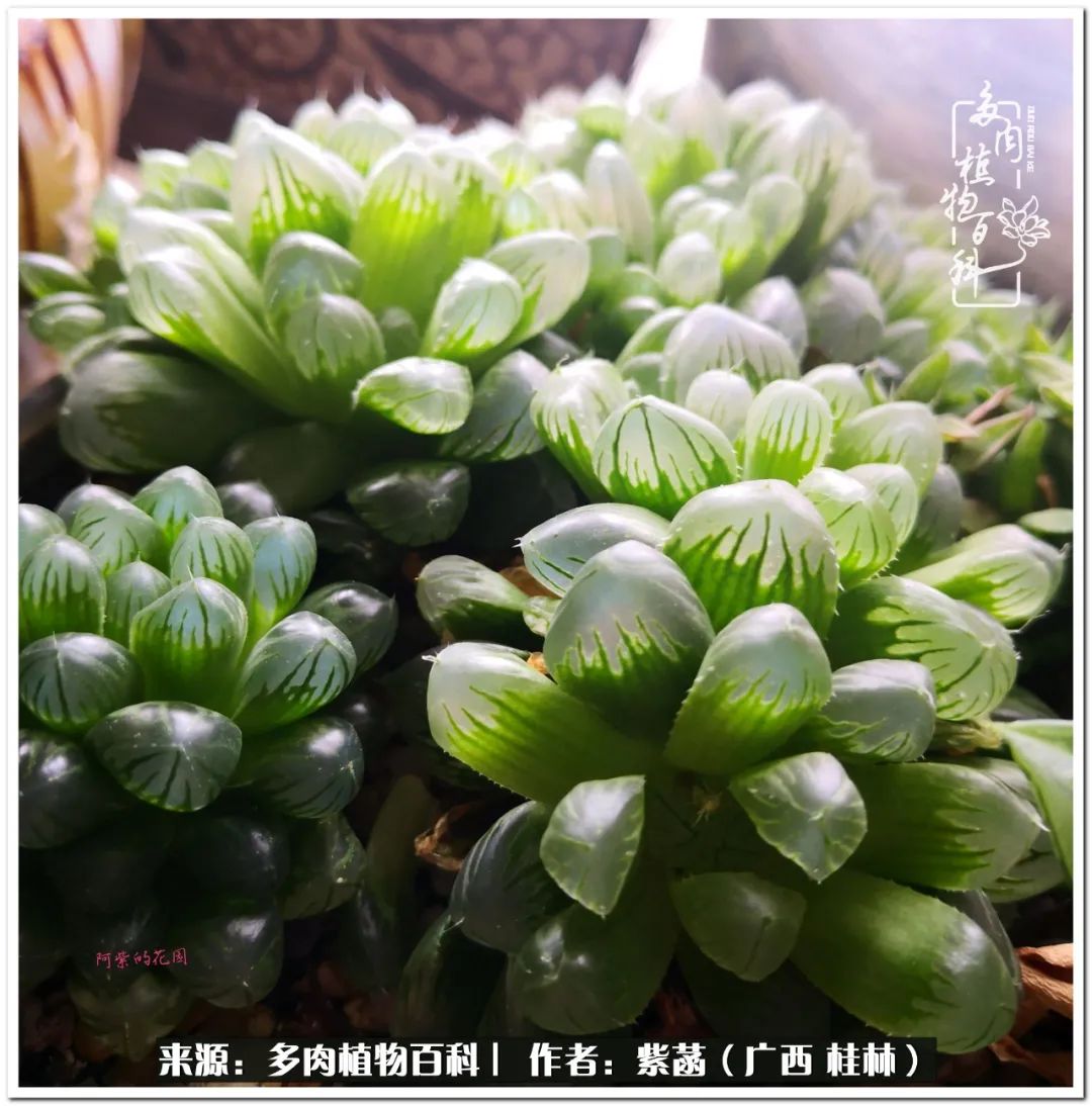 酷暑里的关爱，如十二卷般透亮绵长