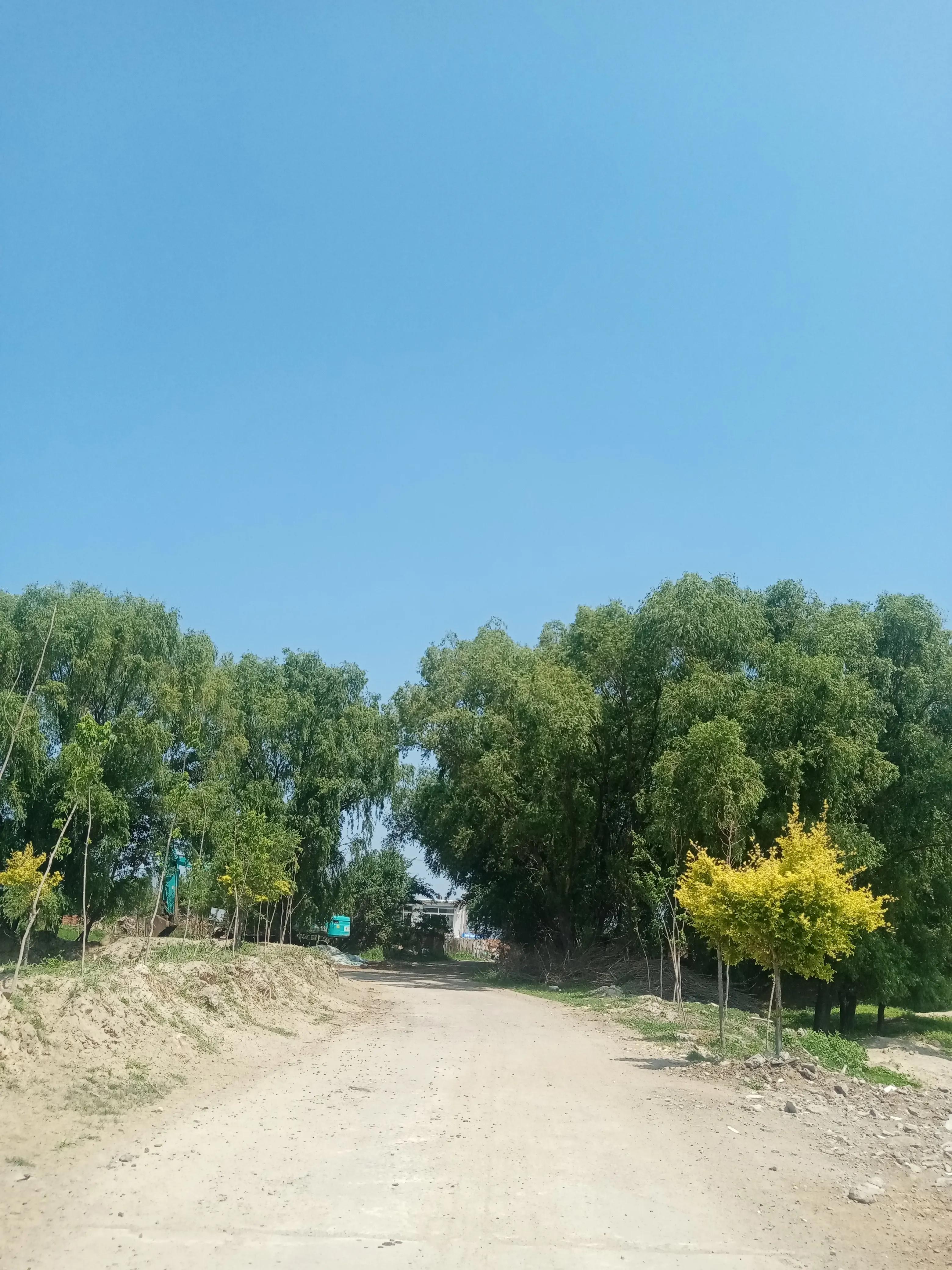 七律故乡情未了,七律故乡情唯美诗句自创