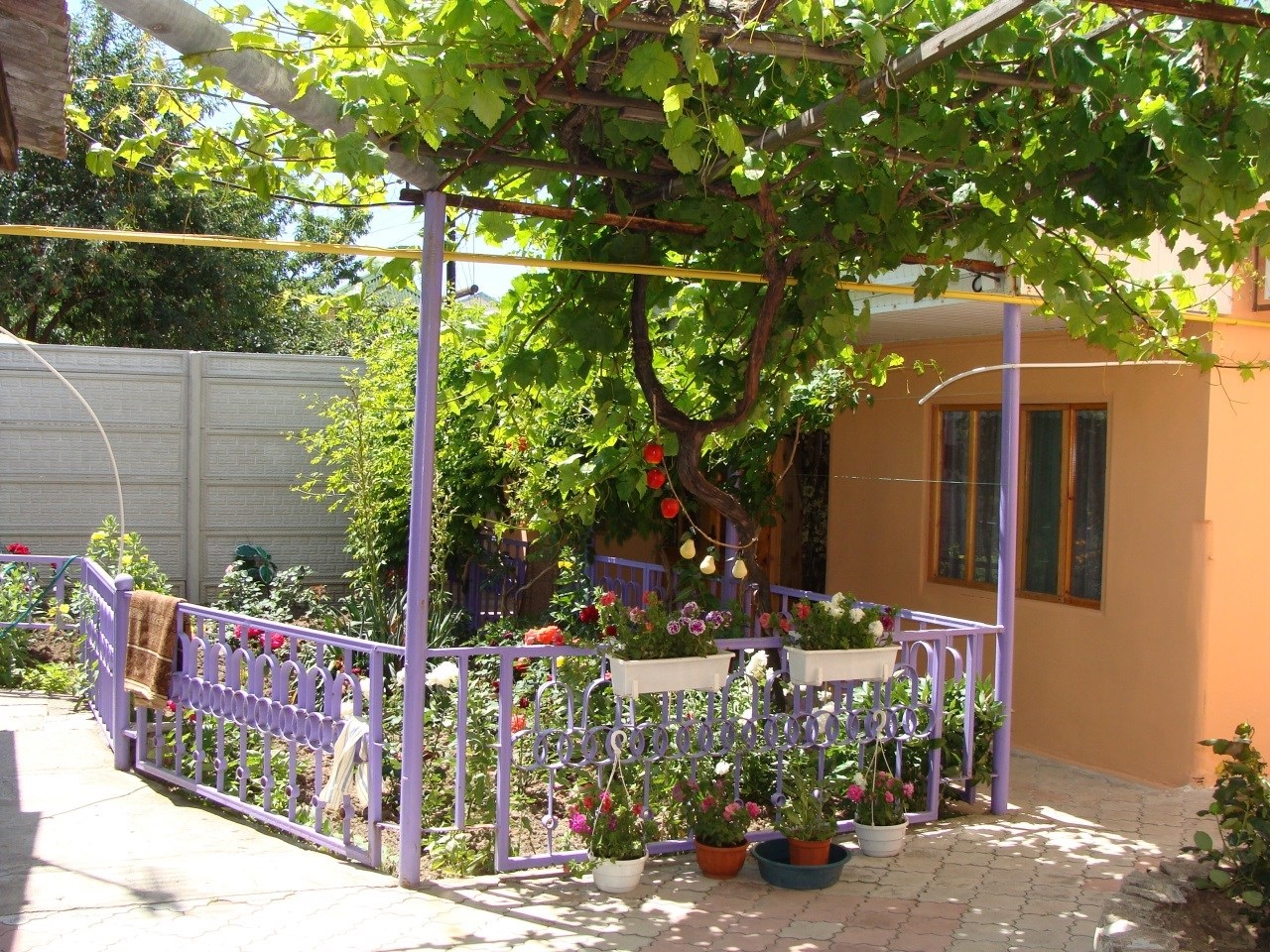 最舒服简单的农家小院,自建房三开间农家小院布局