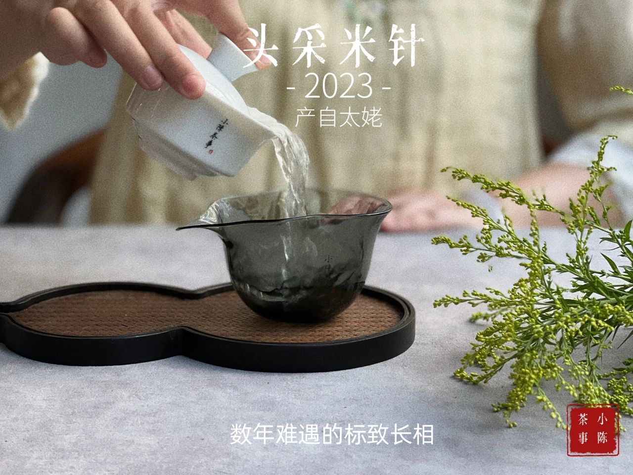 绿茶乌龙茶普洱茶怎么喝才适合,白茶红茶绿茶哪个更好喝一点