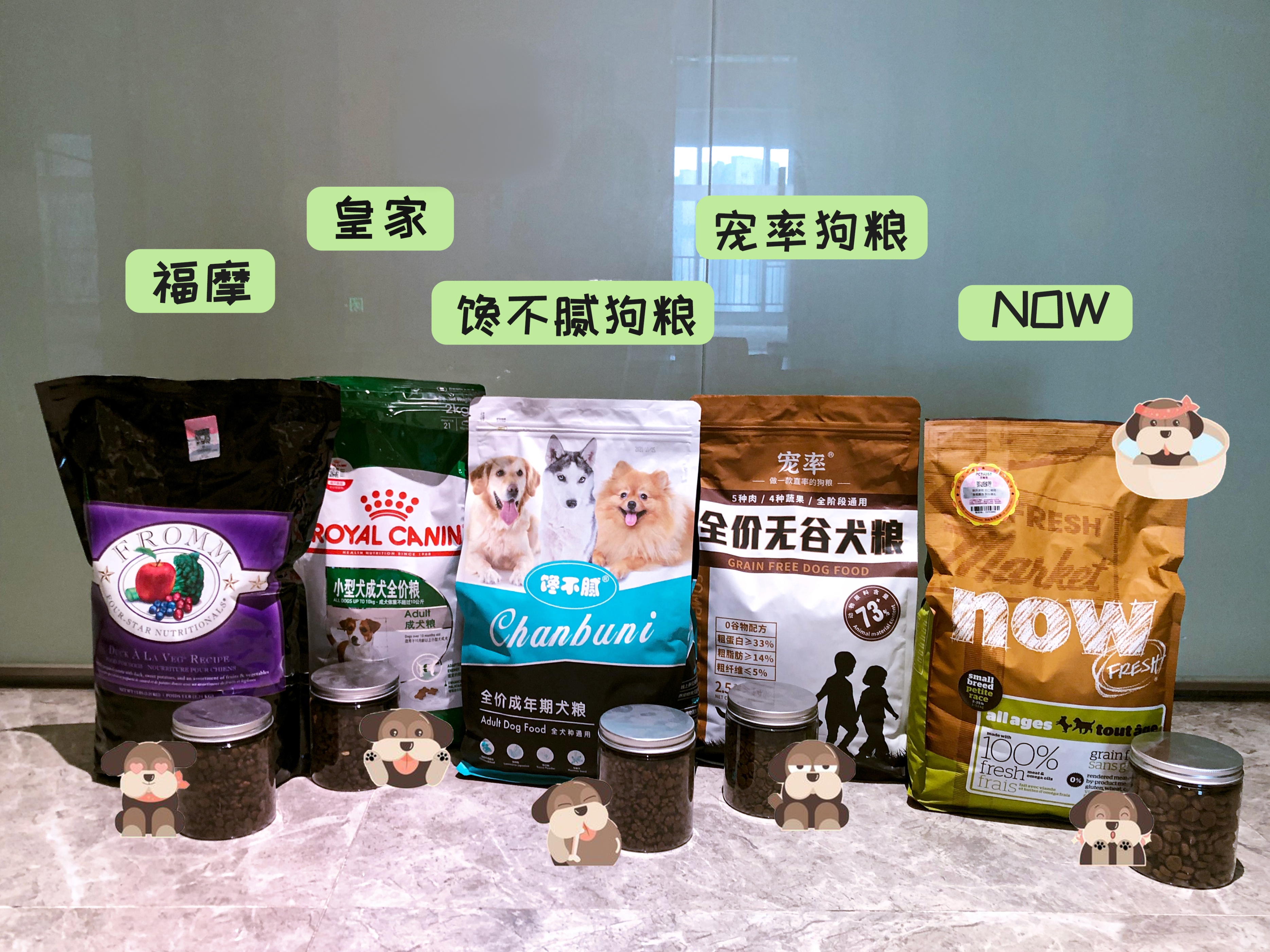 柯基犬为什么不建议养,为什么少人养狗