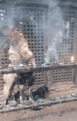 25张活久未见的历史照片,35张活久见的照片