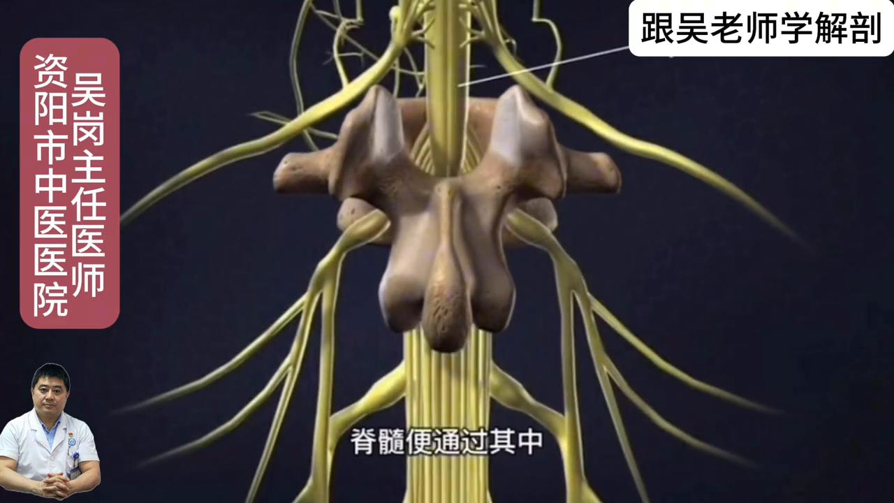 跟吴老师学习4年级上册第六页,跟吴老师学习视频