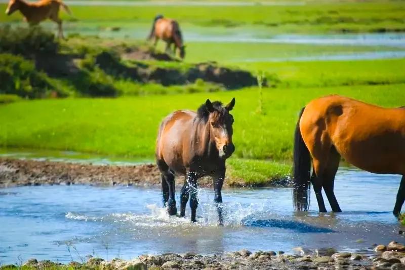 和大自然一起去旅行,和地理老师一起去旅行