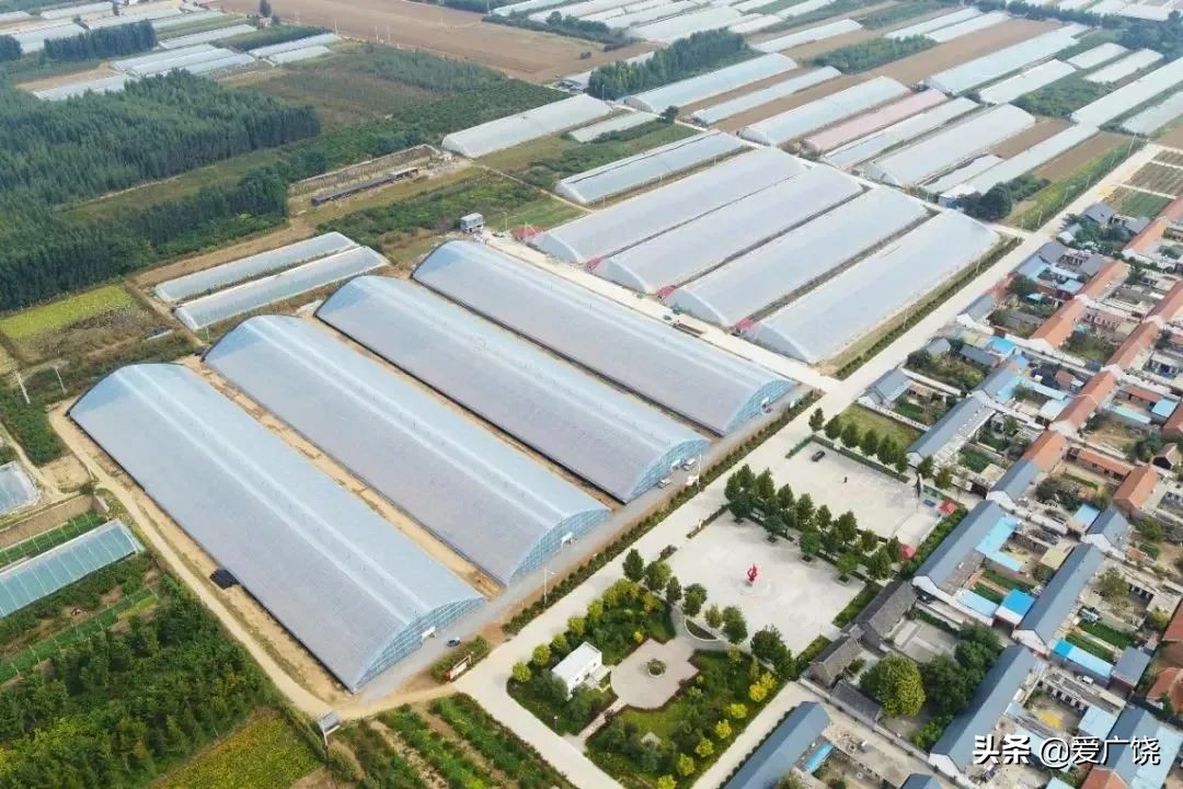 创新实干谋发展奋力谱新篇,创新实干争一流