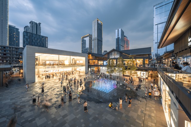 董小姐成都街拍事件,董小姐励志人生