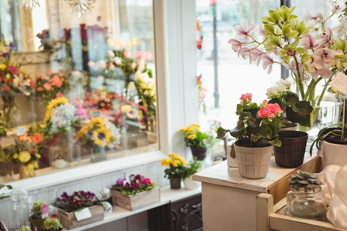 优雅形体礼仪气质提升培训,提升优雅气质的形体训练