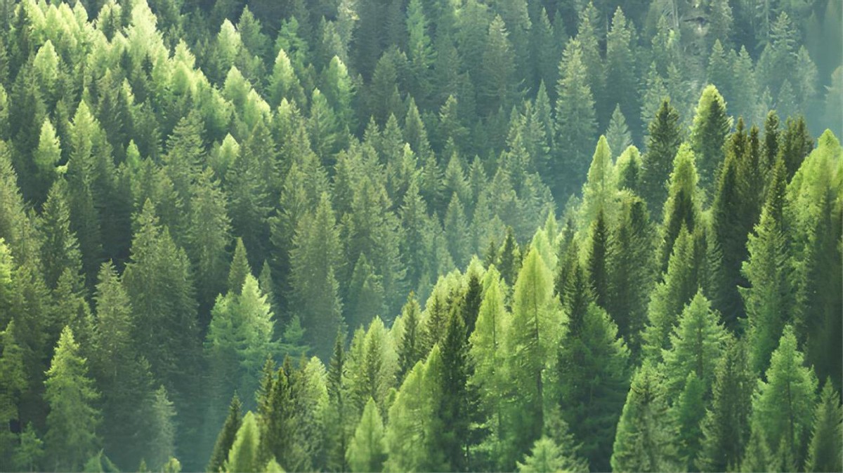 怎么样辨别爱格板,爱格板w1000真假