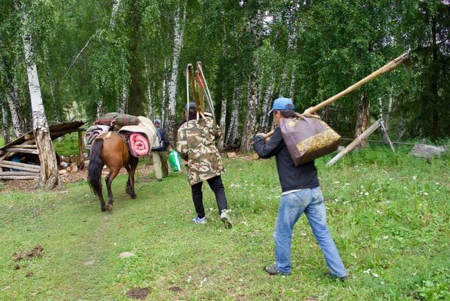 压缩饼干军粮制作,压缩饼干怎么制成的