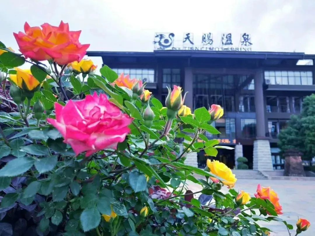 广元温泉旅游攻略,广元温泉几月份去最好