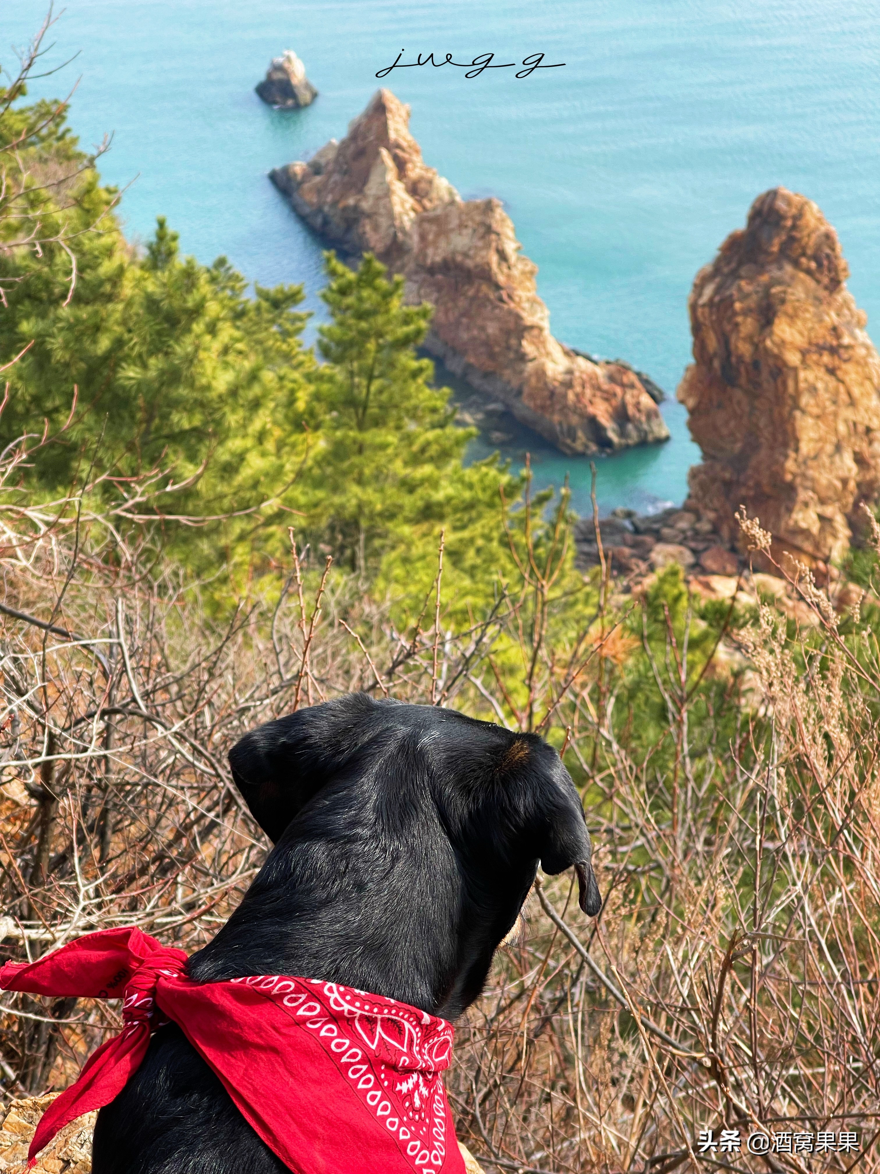大连燕窝岭赶海时间表,大连燕窝岭赶海