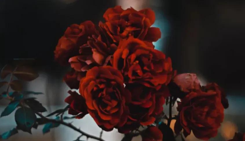 文案2022年小众的跨年签名,写给老师的文案高级小众短句