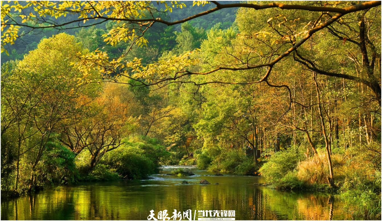 千园之城贵阳公园,千园之城贵阳绝美视频