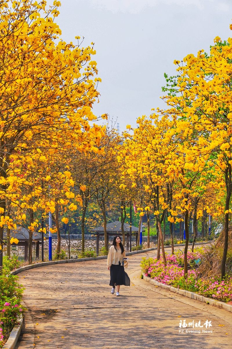 福州清明踏青好去处,福州周边踏青好去处