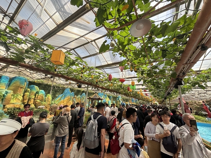 全国排名前十的蔬菜品种,中国十大蔬菜品种