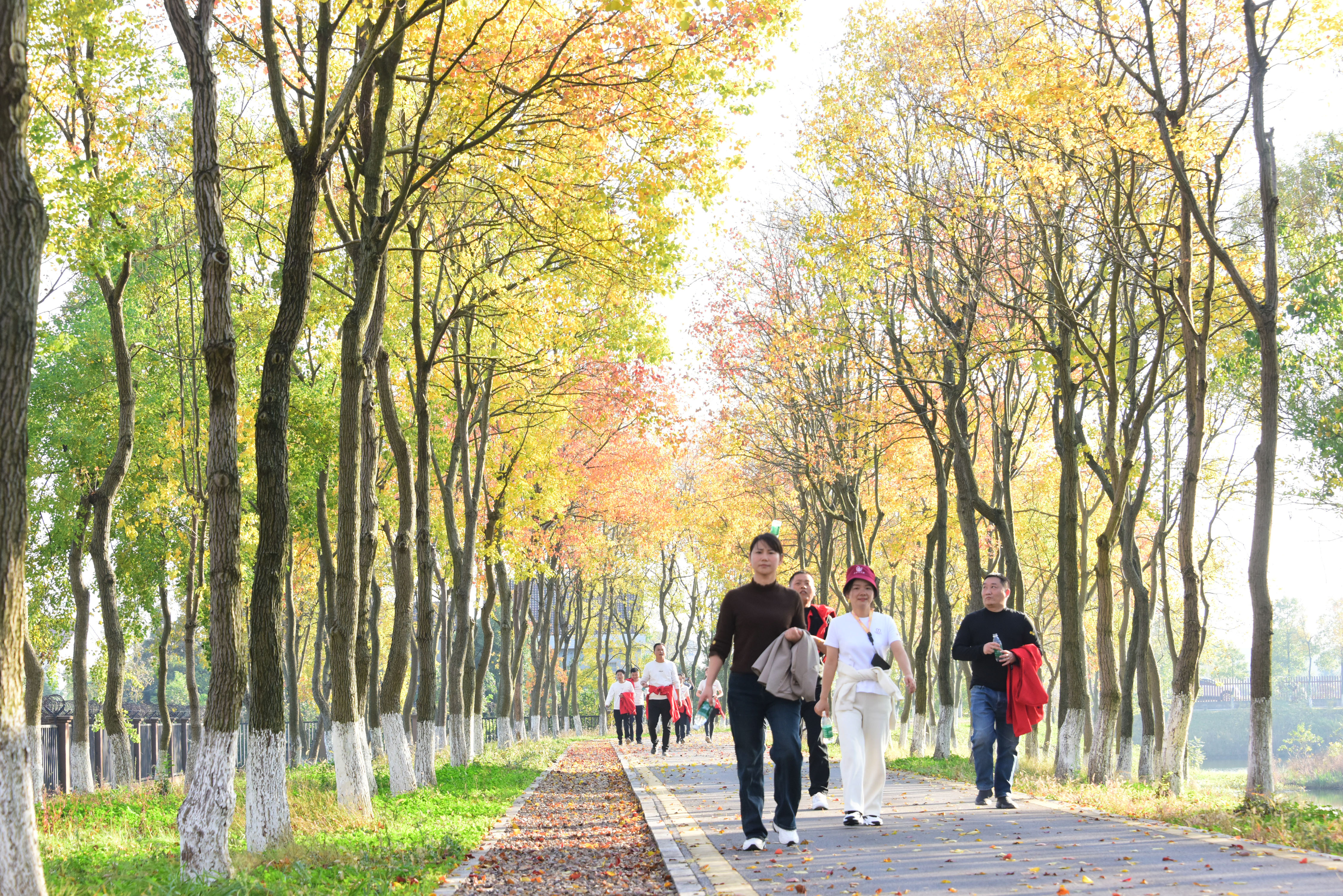 寒冷冬天美景如画,环境美景欣赏