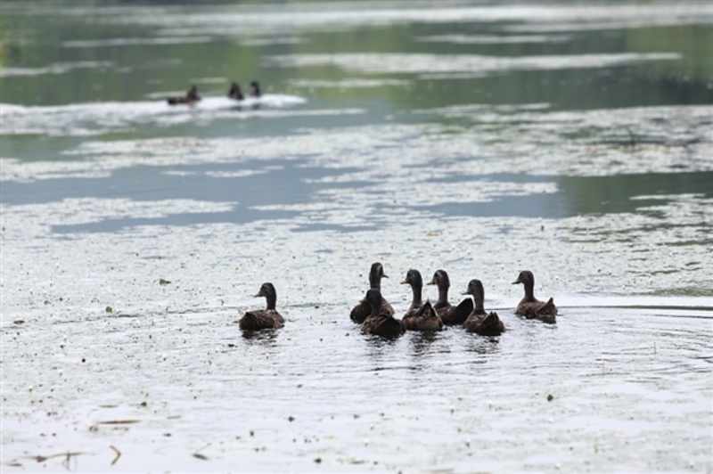 三山岛旅游记,太湖县三山岛