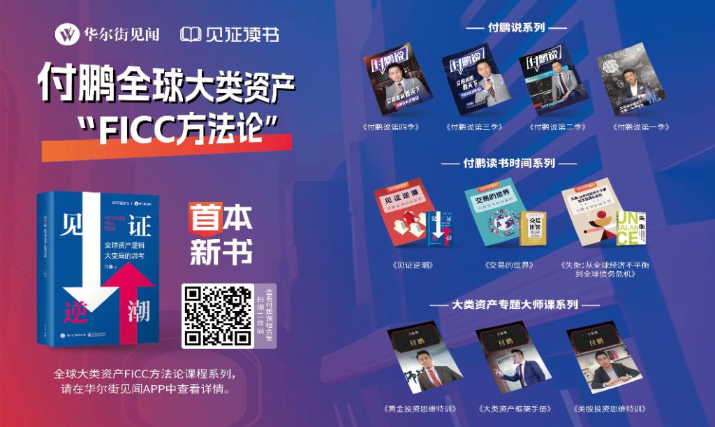 付鹏宏观经济论坛视频,付鹏评判当前中国经济