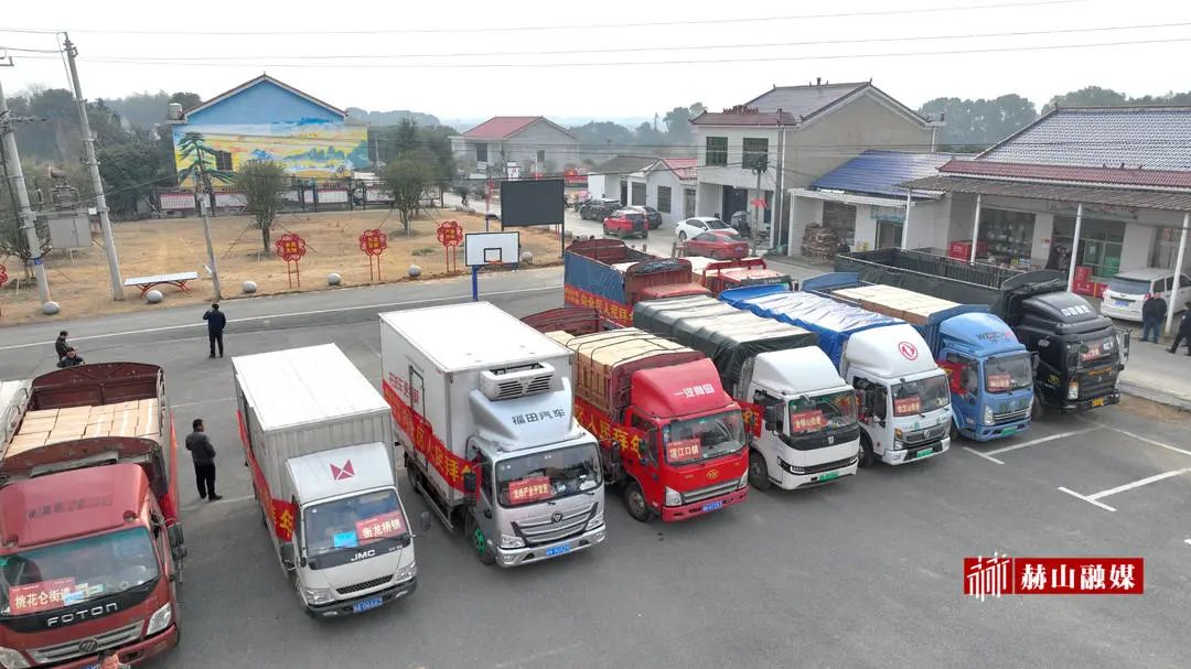 迎新春送温暖活动报道,迎新年送温暖活动