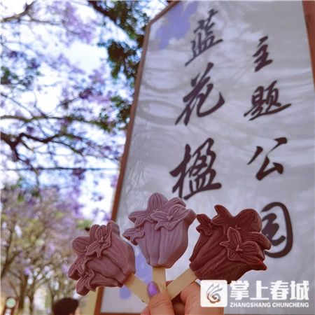 昆明滇池红嘴鸥从哪里飞过来的,昆明首趟红嘴鸥主题航班启航