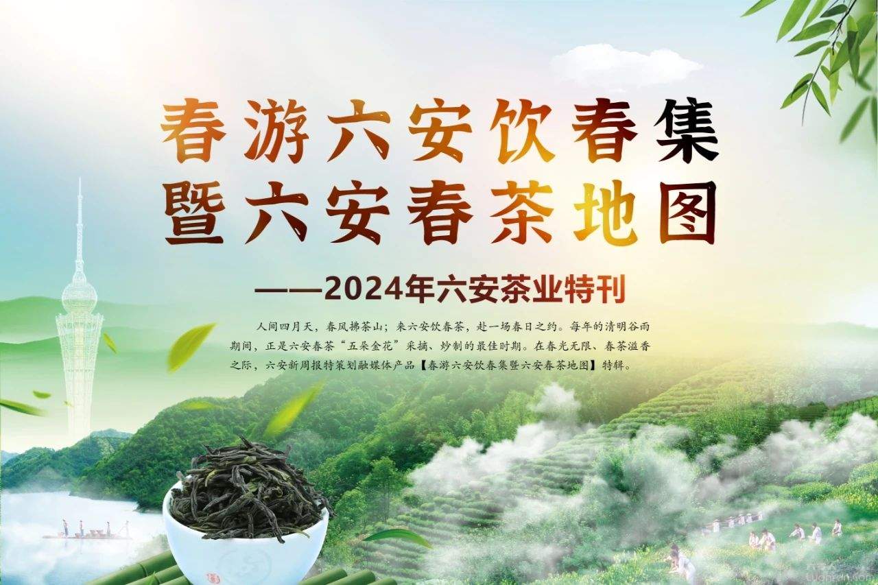 首发！请来这里喝杯六安茶