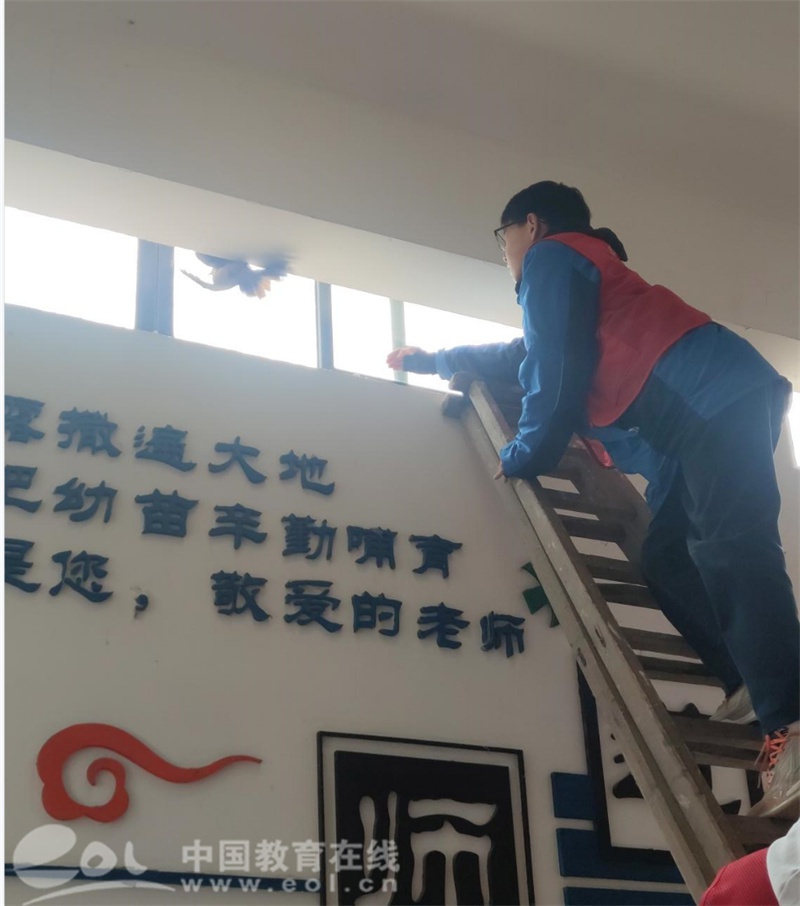 “解救小斑鸠”行动在启航中学上演校长为志愿者点上大大的赞