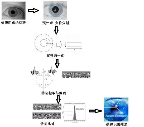 环上大成果转化案例|点与面智能-虹膜及多模态生物识别解决方案提供商