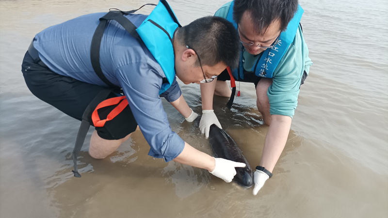 十年禁渔看长江常德,十年禁渔看长江