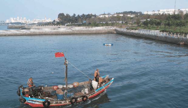 日照小海虾批发,日照小开海