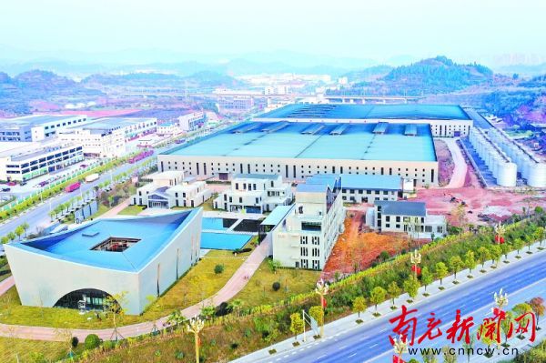 从高粱红到酒飘香——凸酒酒业带动一二三产业融合发展