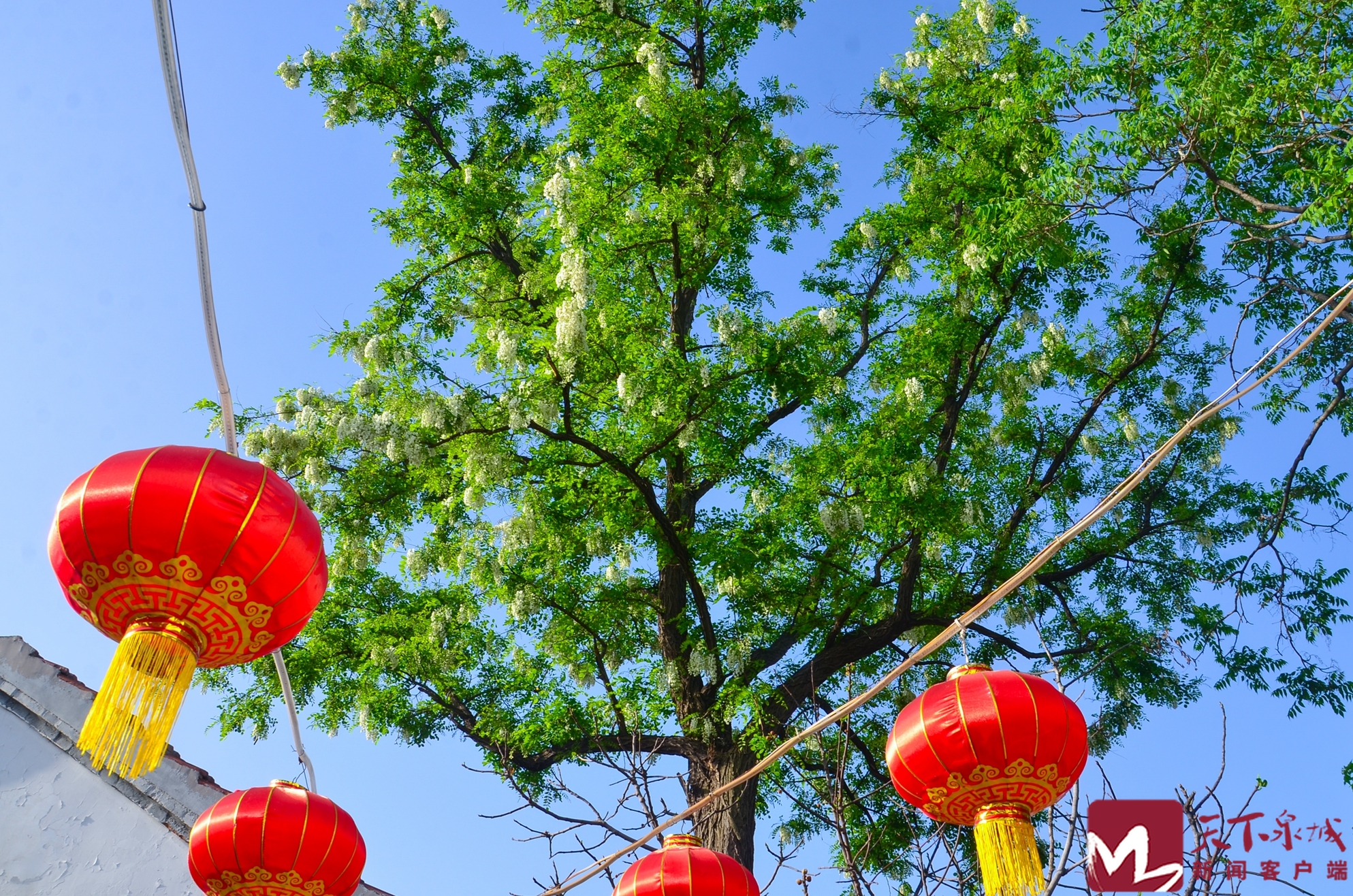 济南城景掠影,济南老城河景