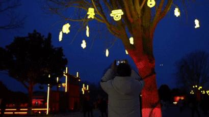 锦绣中华春节攻略,锦绣中国年主题感悟