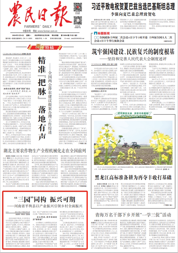 平舆县打造乡村振兴示范村,乡村振兴农民日报