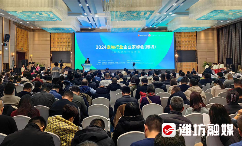 山东潍坊安丘产业,山东潍坊安丘著名企业