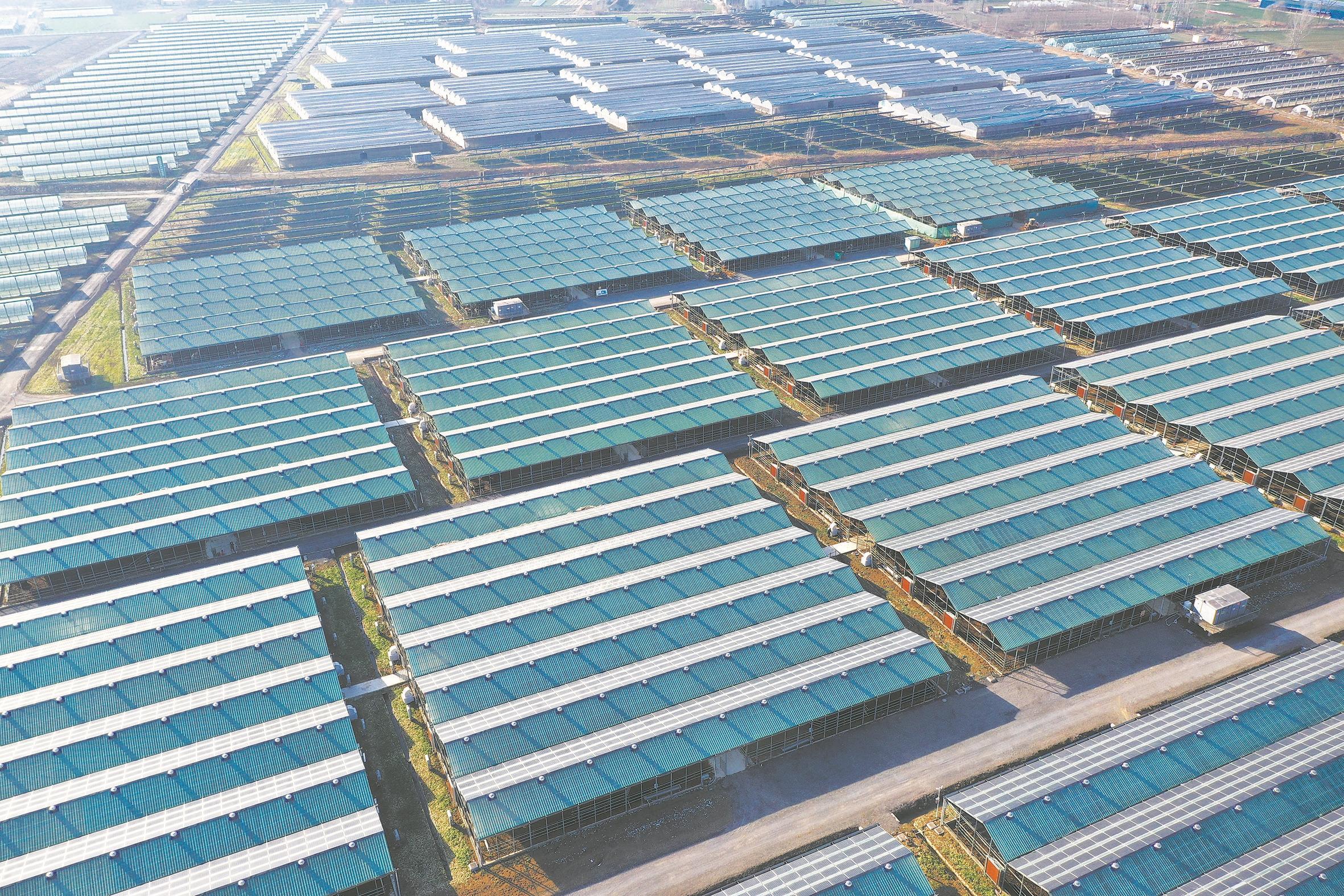 广东省十大战略性新兴产业,十大振兴产业的规划亮点