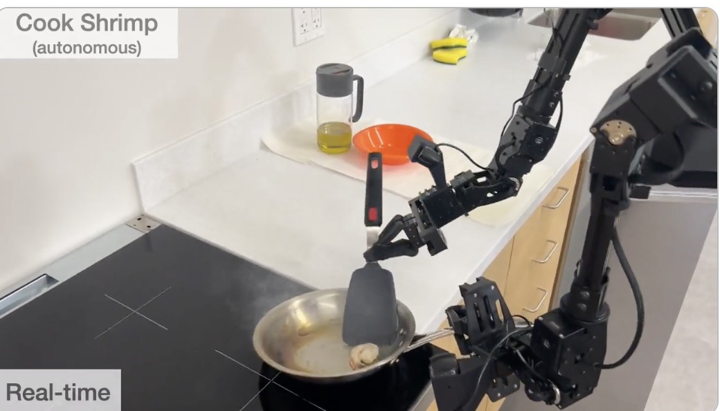 斯坦福家务,国外智能家务机器人